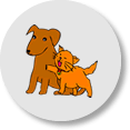 Pets & possessions lesson plan